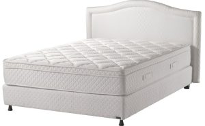 מזרן פוליגב קלאסיק דגם קמומיל ללא קפיצים מבית עמינח